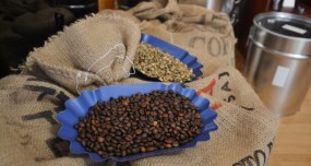 Cafe Robusta  inhibe la formación de las caries