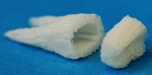 molde para formacion de diente